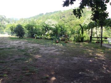Finca