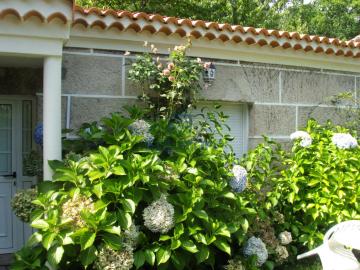 Finca