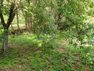 Finca