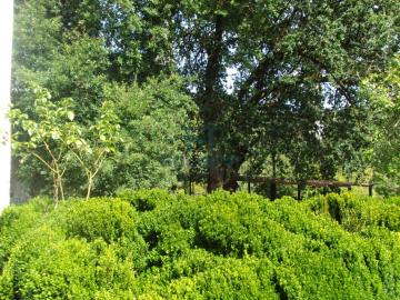 Finca