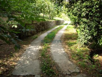 Caminos