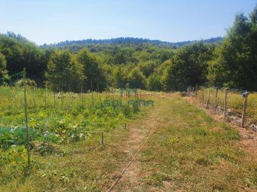 Finca