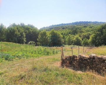 Finca