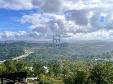 Vistas
