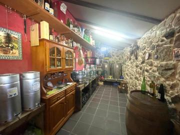 Bodega