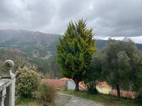 Vistas