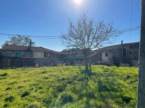 Finca