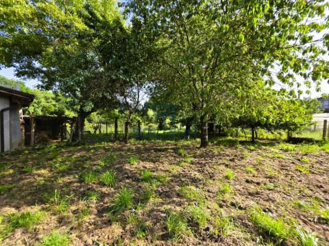 Finca