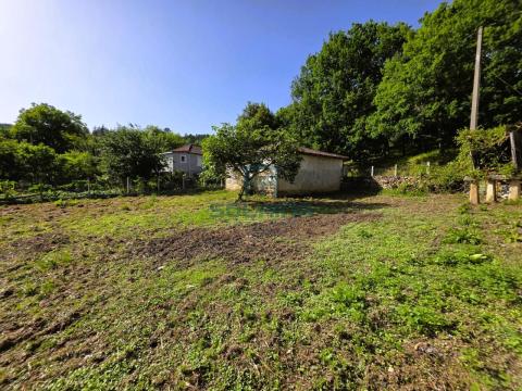 Finca