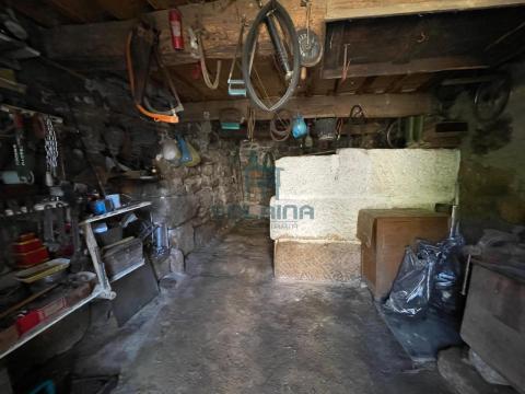 Bodegas
