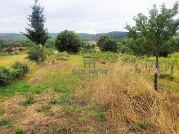 Finca