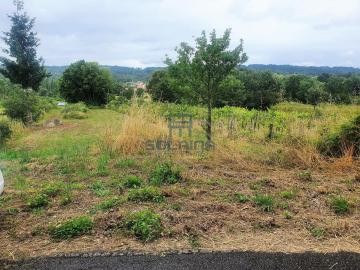 Finca