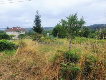 Finca