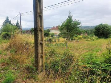 Finca