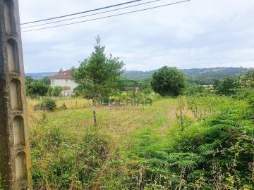 Finca