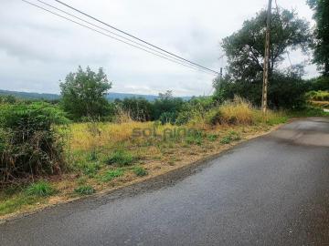 Finca