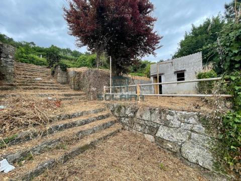 Finca