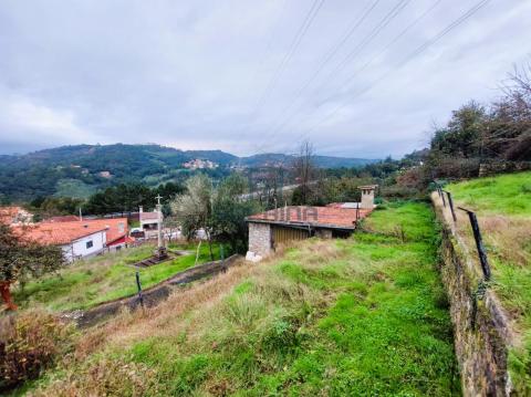 Exteriores