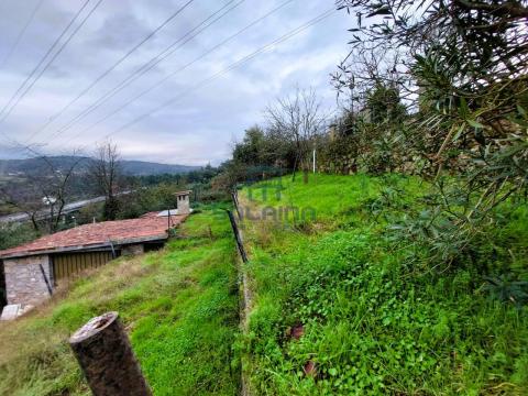Exteriores