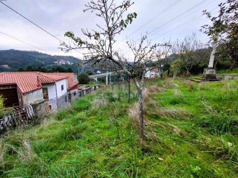 Exteriores